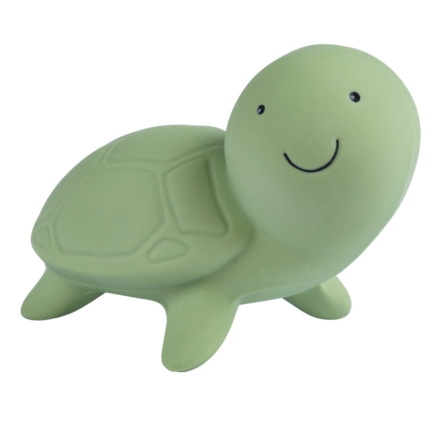 Tikiri Toys - Turtle Natural Organic Rubber Teether, Rattle & Bath Toy