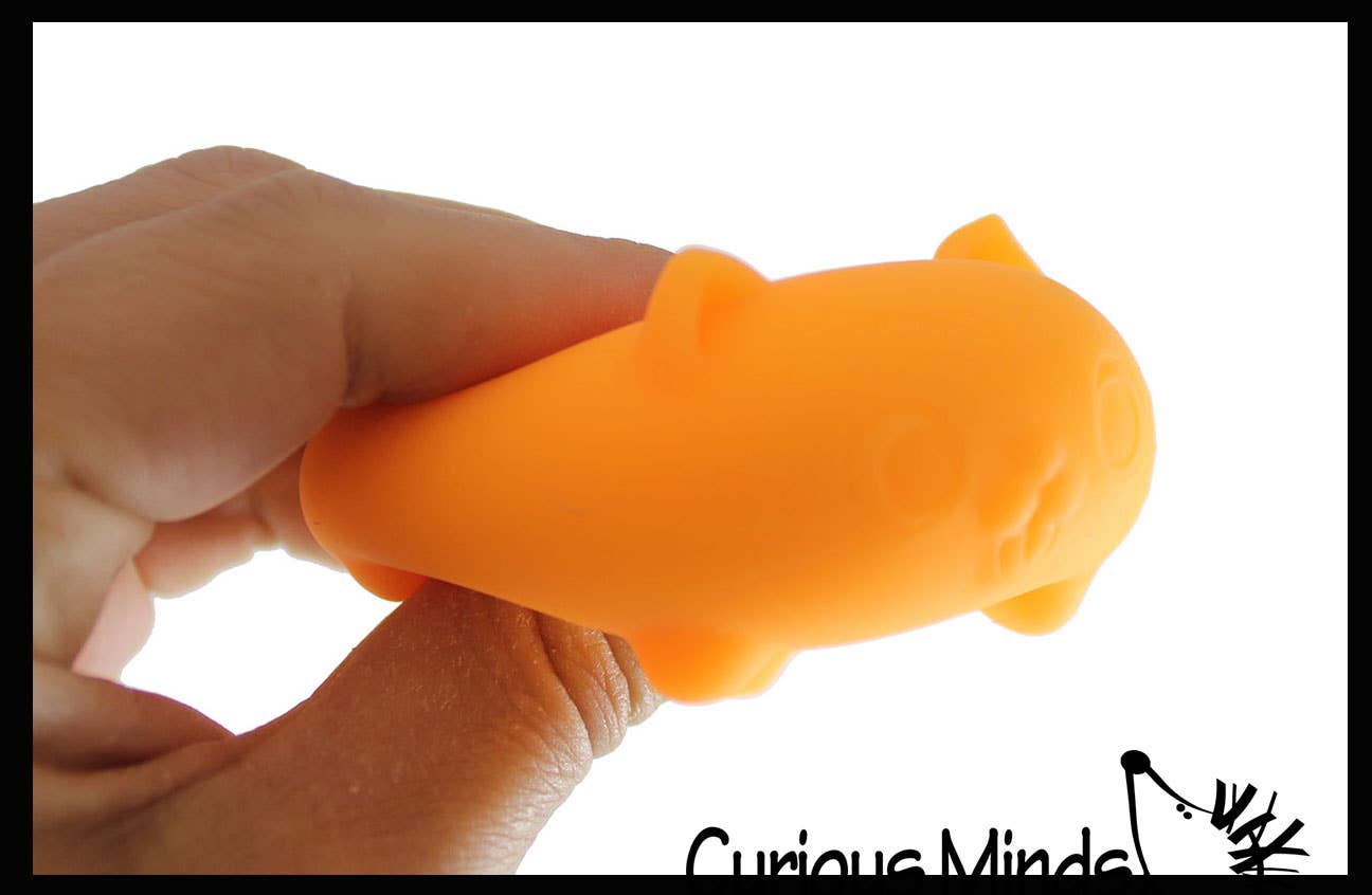 NeeDoh Teenie Cool Cat Groovy Soft Doh Filled Stretch Ball