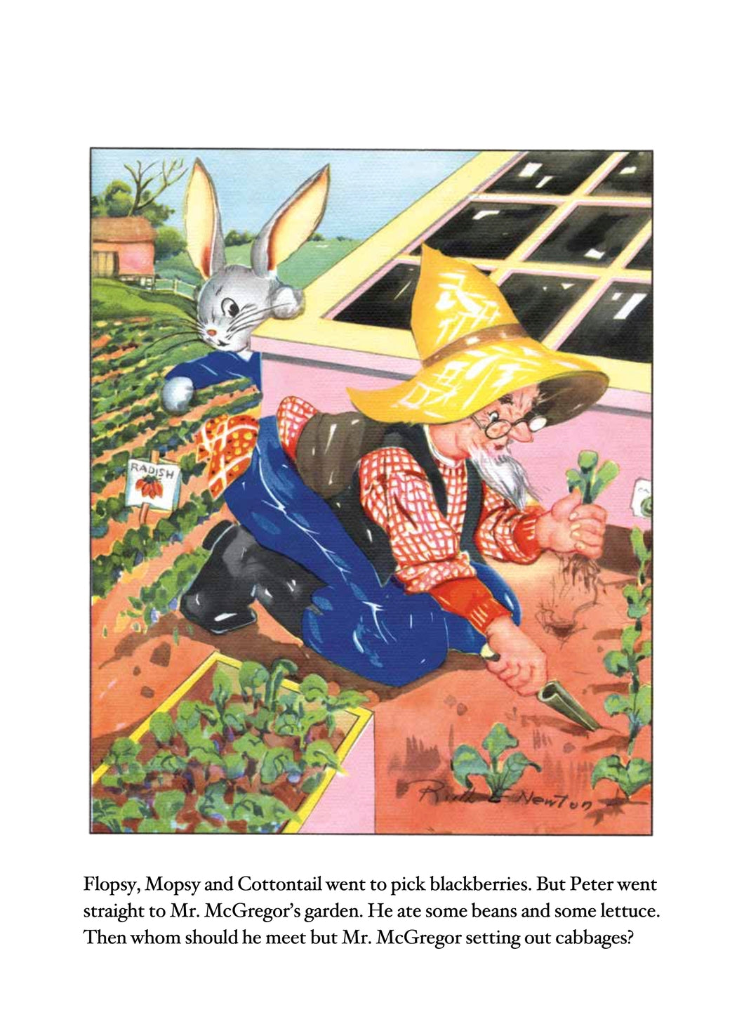 Peter Rabbit Vintage Picture Book