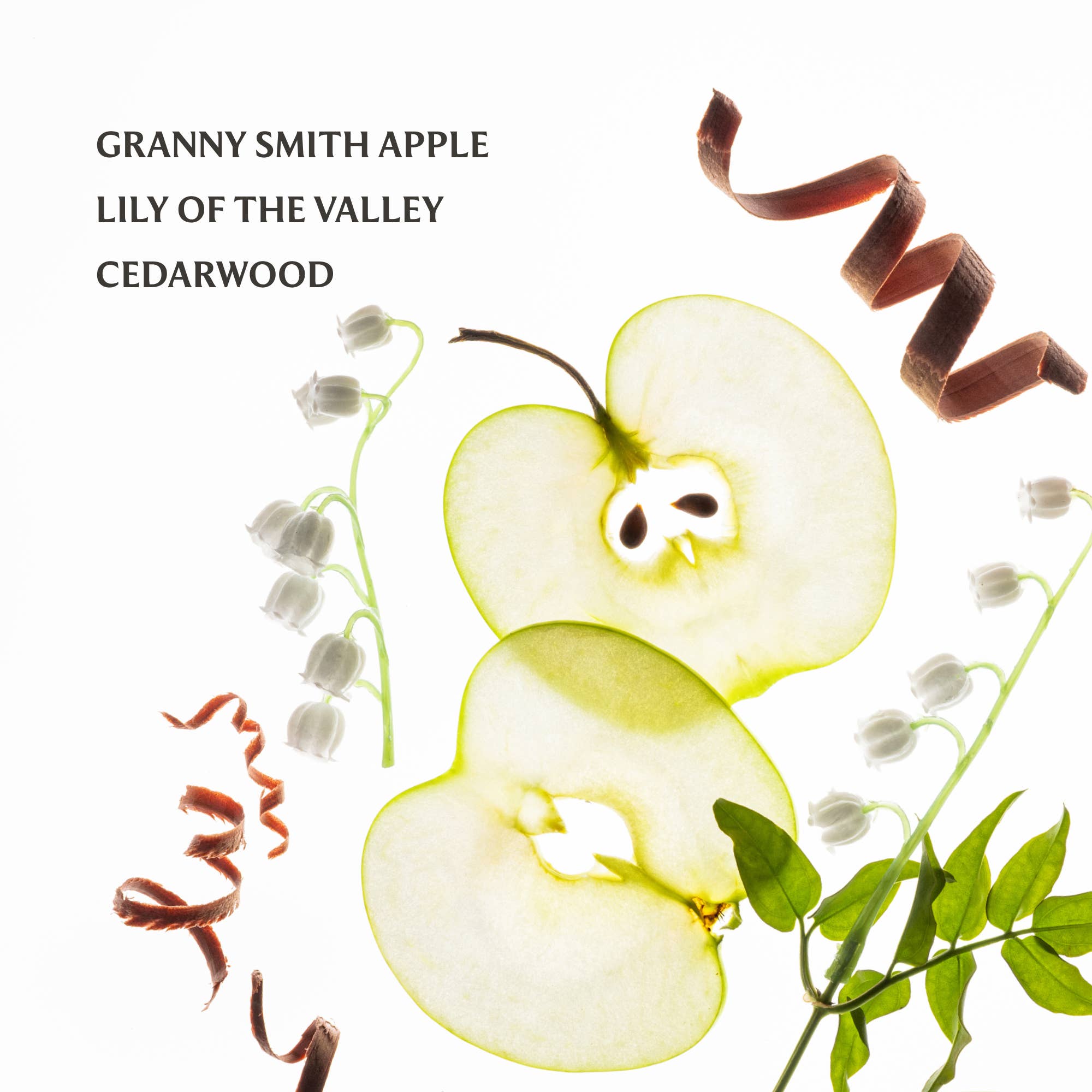 Touchland - Applelicious Power Mist Hydrating Hand Sanitizer