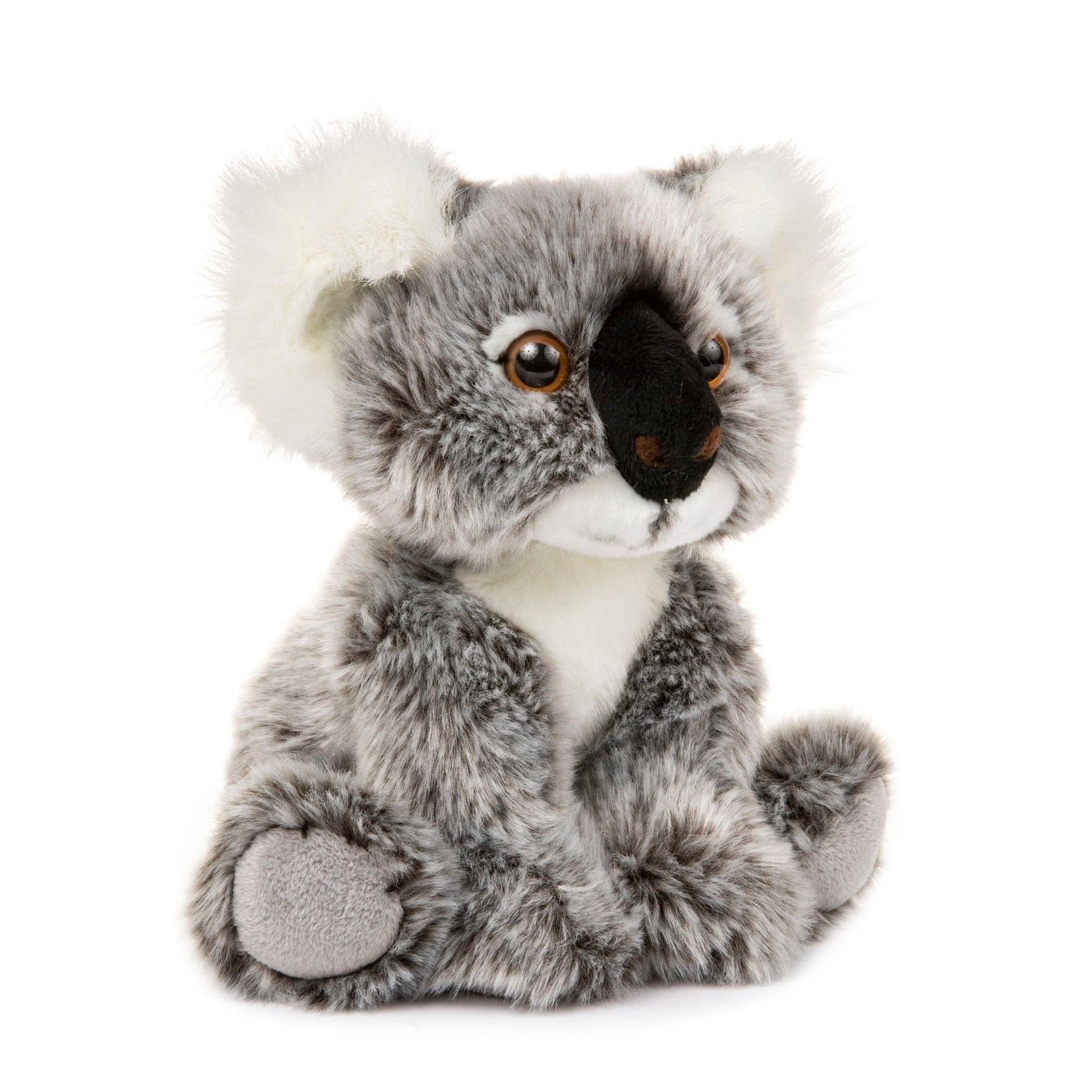 Stuffed Animal - Koala