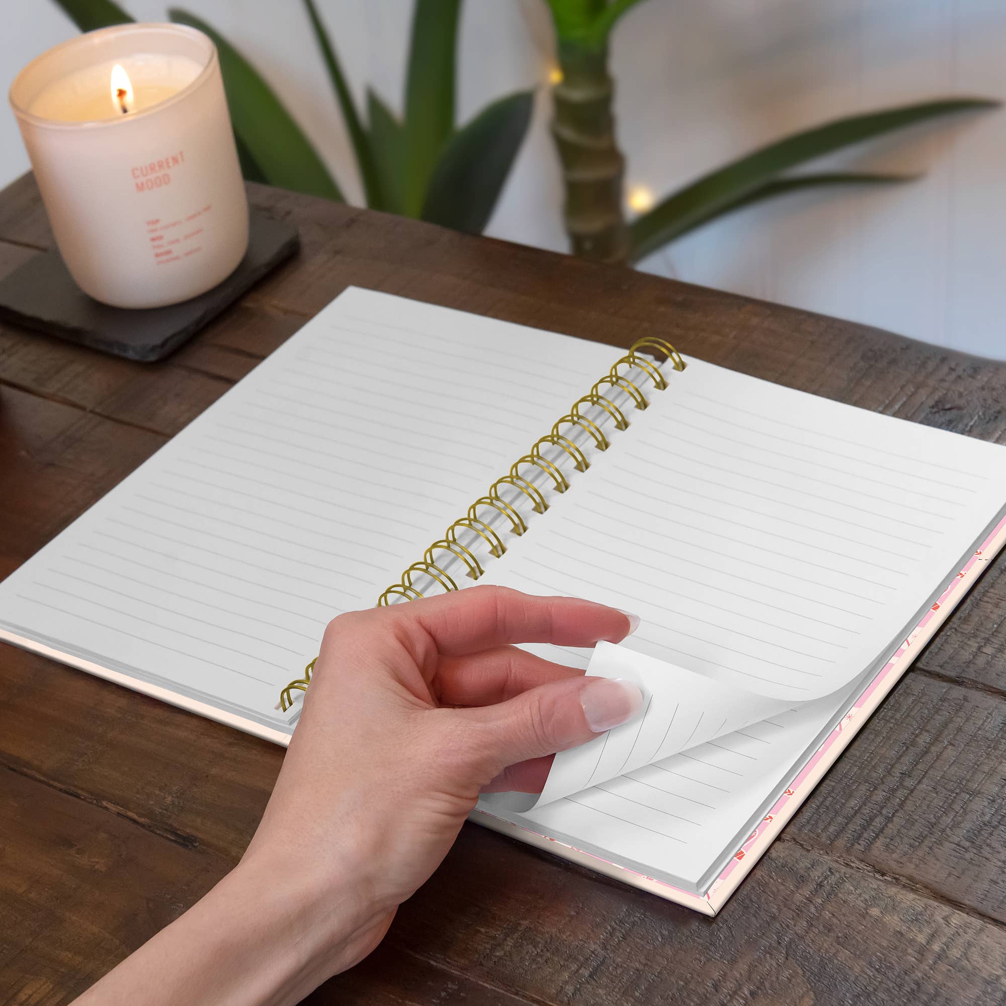 Studio Oh! - Howdy Partner Medium Spiral Notebook